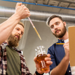 deux brasseurs controlant la qualité de leur biere